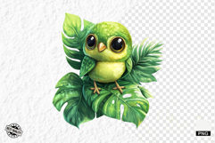 Tropical Birds Clipart - Summer Birds PNG Product Image 1