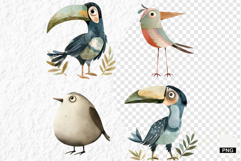 Nursery Summer Birds PNG Clipart Product Image 1