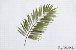 Big Bible Collection Watercolor Clipart PNG Product Image 1