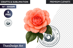 Flower Clipart PNG, Botanical Illustration Floral graphic Product Image 1