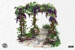 Summer Grapes Vine Clipart Product Image 1