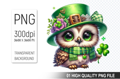 St. Patrick’s Day Owl with Hat Clipart, Shamrocks PNG Product Image 1