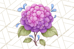 Whimsical Flower Doodle Clipart Cute Sketchy PNG Product Image 4