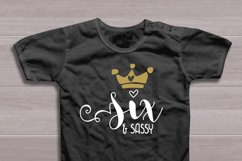 Six and sassy svg, sixth birthday svg Product Image 2