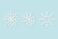 Snowflakes Product Image 1