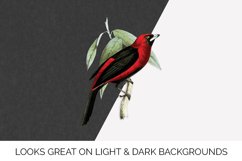 Bird Clipart Tanager Product Image 2