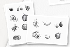 Hand drawn Fruit Collection Product Image 2