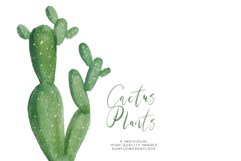 Watercolor Cactus Plant Clipart Set Product Image 3