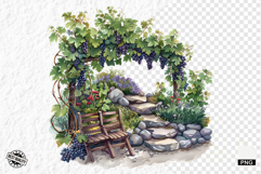 Summer Grapes Vine Clipart Product Image 1