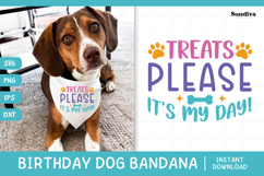 Cute Birthday Dog Bandana Quote SVG | Treats Please Product Image 1