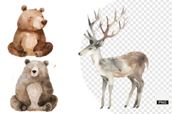 Autumn Forest Clipart Product Image 1