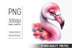 Cute Flamingo Clipart PNG, Printable Animals, Wildlife Desig Product Image 1