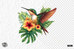 Tropical Birds Clipart - Summer Birds PNG Product Image 1