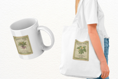 Spring Vegetable Seeds Packet Clipart Product Image 4