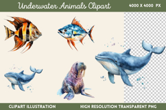 Underwater Animals Clipart PNG Product Image 1