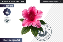 Flower Clipart PNG, Botanical Illustration Floral graphic Product Image 1