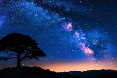 Tree with Milky Way Background Wallpaper Product Image 1