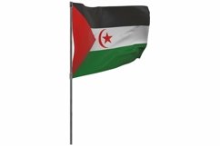 Sahrawi Arab Democratic Republic flag on pole Product Image 1