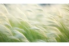 smooth soft shapes background Product Image 1