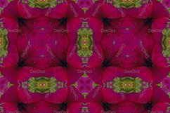 12 abstract Seamless colorful FLOWER patterns pack. Product Image 3