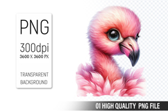 Cute Flamingo Clipart PNG, Printable Animals, Wildlife Desig Product Image 1