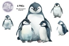 Realistic Penguins Mommy Daddy Baby 6 Watercolor Images Set Product Image 5