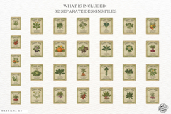 Spring Vegetable Seeds Packet Clipart Product Image 5