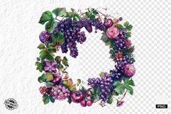 Summer Grapes Vine Clipart Product Image 1