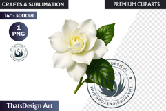 Flower Clipart PNG, Botanical Illustration Floral graphic Product Image 1
