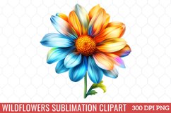Wildflowers Sublimation Clipart Product Image 1