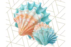 Coral and Aqua Summer Clipart PNG Pastel Tropical Icons Product Image 2