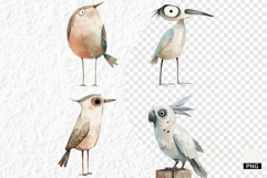 Nursery Summer Birds PNG Clipart Product Image 1