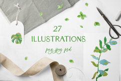 Crayon Botanical Leaves Clipart Set Monstera Fern Eucalyptus Product Image 1