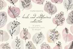 Instagram Flower, spots, Highlights Icons, Story cover Product Image 1