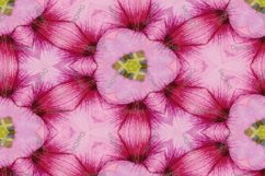 12 abstract Seamless colorful FLOWER patterns pack. Product Image 8