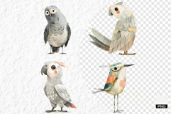 Nursery Summer Birds PNG Clipart Product Image 1