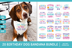 20 Cute Birthday Dog Bandana Quote SVG Bundle Product Image 1
