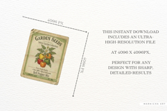 Spring Vegetable Seeds Packet Clipart Product Image 6