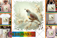 Fun TSHIRT Art Ideas PNG, Birds Product Image 1