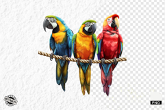 Tropical Birds Clipart - Summer Birds PNG Product Image 1