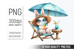 Summer Animals Clipart PNG Bundle, Watercolor Animals PNG Product Image 16
