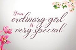 Web Font Profesi Script Product Image 4