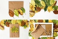 Autumn Card Paper Craft Envelope and Backgrounds Bundle Product Image 5