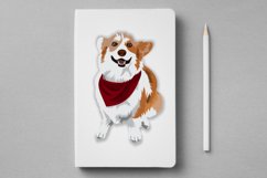 Cute Dog Vector Illustration | Corgi Product Image 5