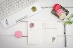 A set of stickers with sketches of the artichoke flower. Product Image 2