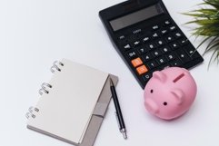 Manual maintenance of the balance sheet. Economic education Product Image 1