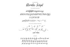Web Font Asmila Script Product Image 6