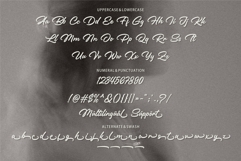 Rillosta | Calligraphy Script Font Product Image 7