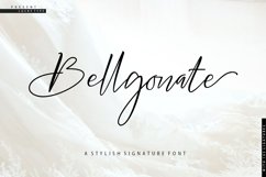 The Authentic Script Font Bundle Product Image 14