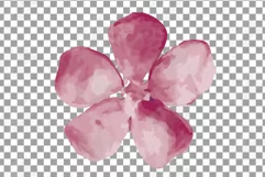 Burgundy and coral pink watercolor floral wedding clip art, Product Image 14